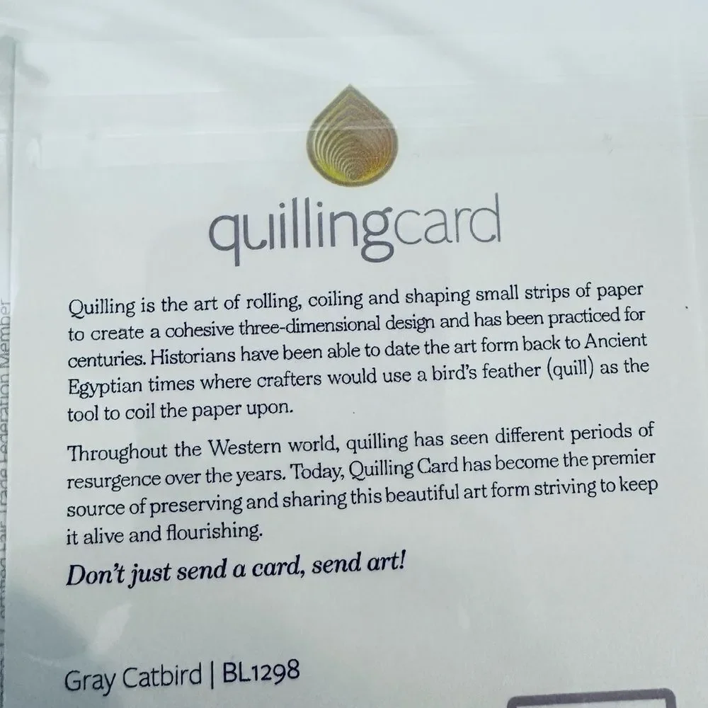 Quilling Card Paper Quill Greeting Card Gray Catbird